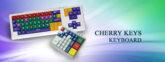 Cherry POS keyboard