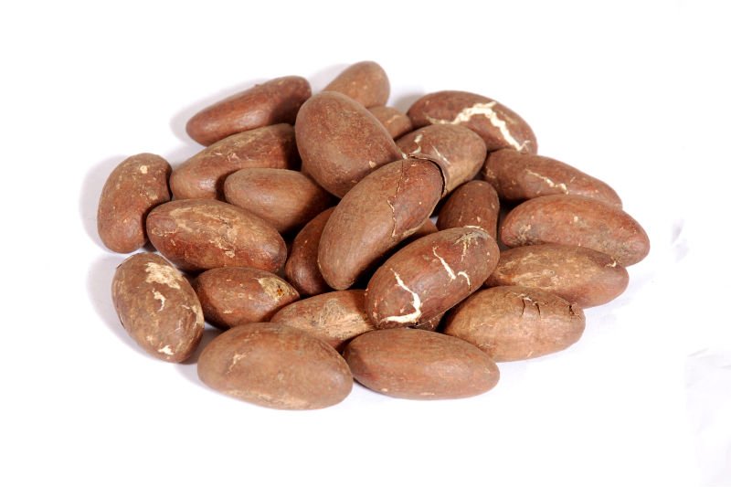 Bitter Kola Nuts