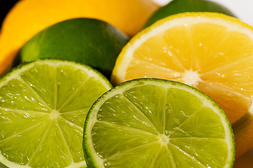 Lime & Lemon Seasoning