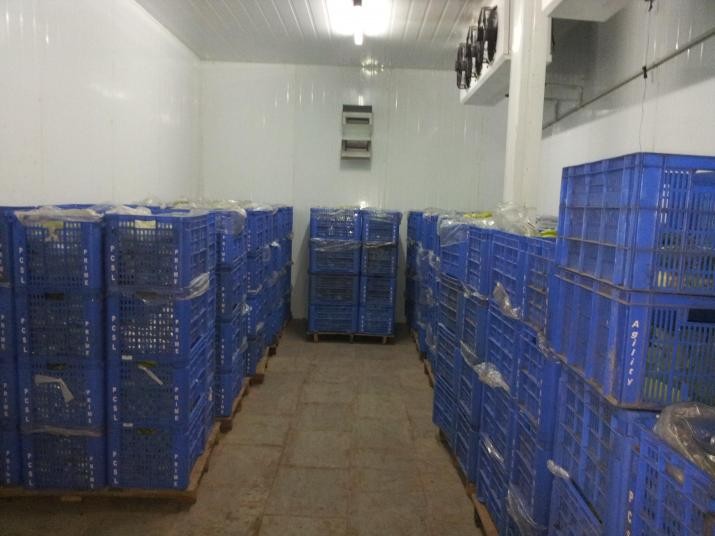 Ice Cream Cold Storage by Cold Chain Solution, ice cream cold storage from  Indore