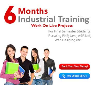 6 month industrial training