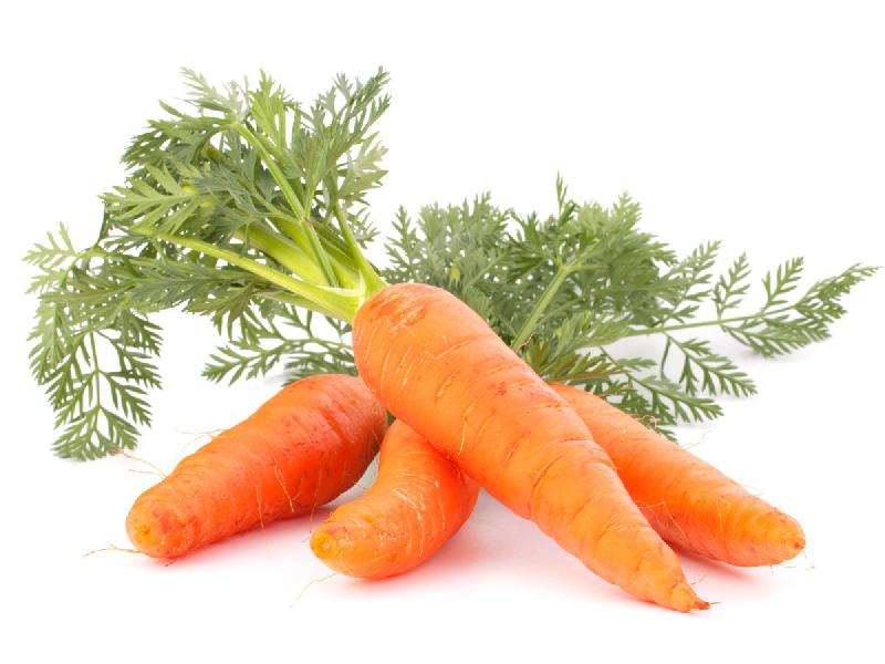 Organic Fresh Carrot, for Food, Juice, Pickle, Taste : Sweet