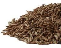 Caraway Seed