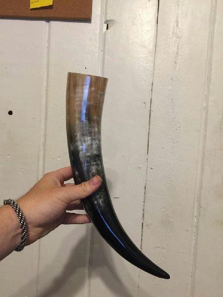 viking Horn