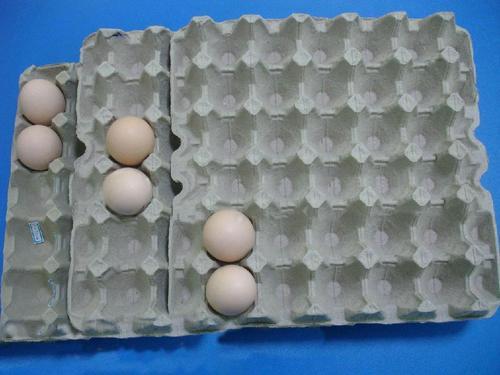 Pulp Egg Tray