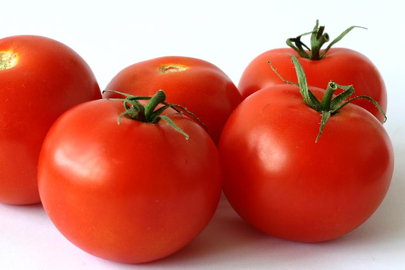 fresh tomato