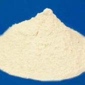 Dolomite Powder