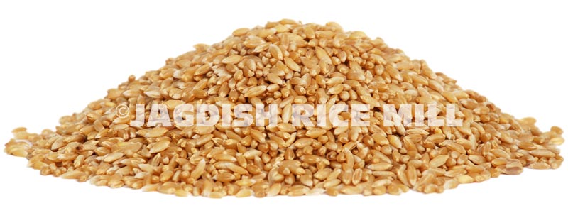 Buy Indian Wheat from Jagdish Rice Mill, Khambhat, India