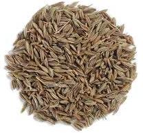 Cumin seeds