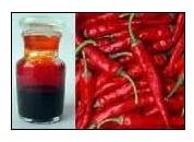 Paprika Water Soluble Natural Food Colour