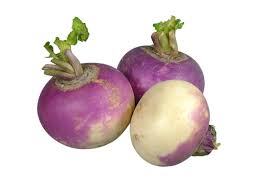 Fresh Turnip