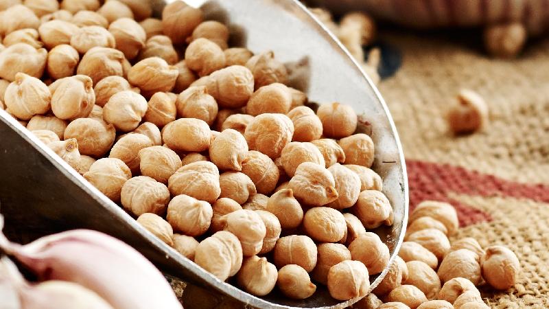 Organic White Chickpeas, Style : Dried