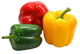 CAPSICUM ORANGE