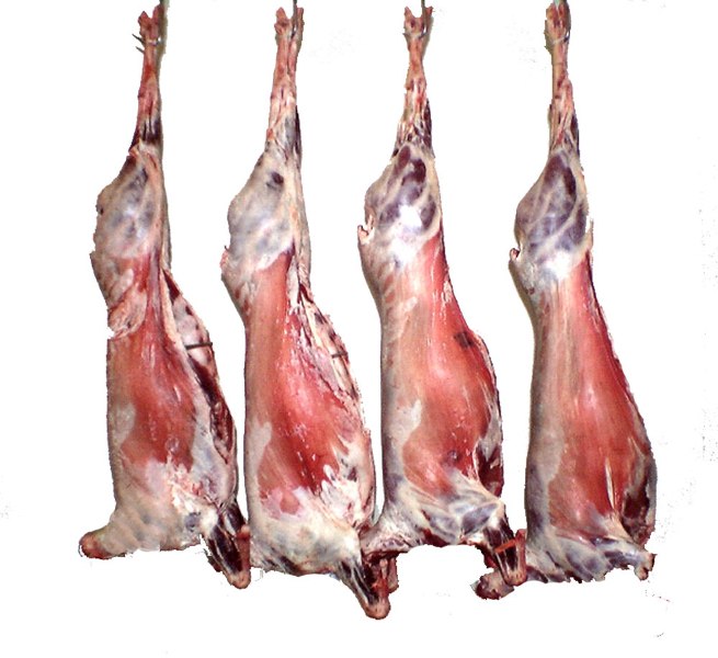 Fresh/Frozen Sheep Mutton, for Hotel, Restaurant, Bakrid, Style : Preserved