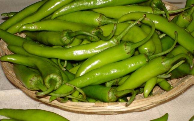 Fresh Green Chilli