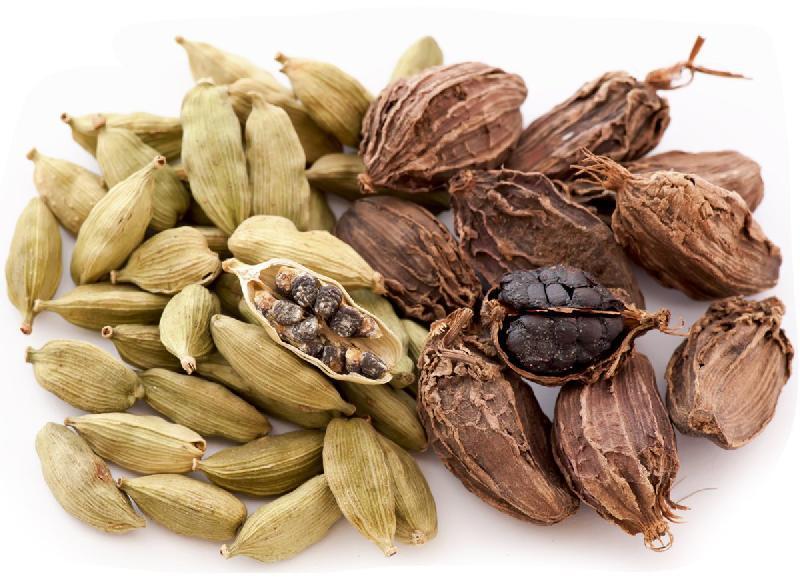 cardamom