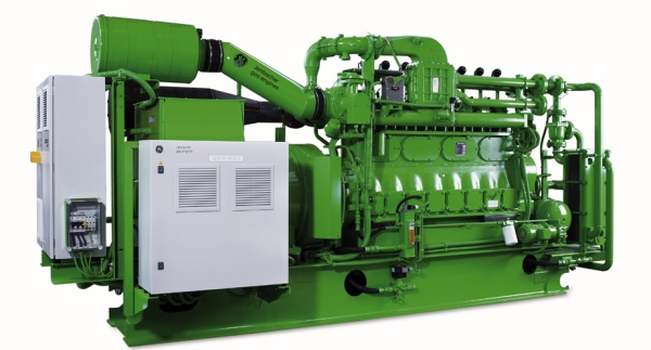 Biogas Engine