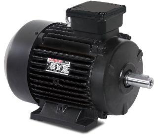 0.18Kw - 315Kw Havells Low Tension Motor