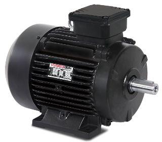 0.18Kw - 315Kw IE2 Havells Energy Efficient Motor