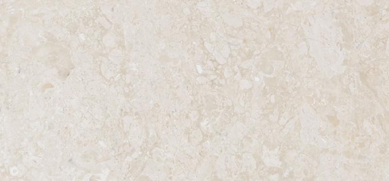 Imported Ivory Marbles Crema 3