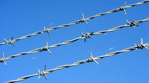 Barbed Wire