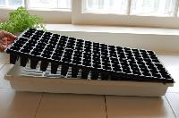 vegetable seedling tray