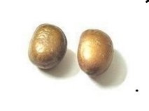 Aragania Spinosa Seeds