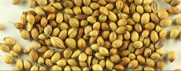 coriander seeds