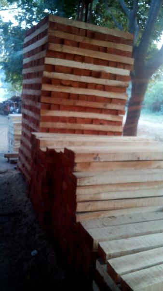 Neem Wood Logs