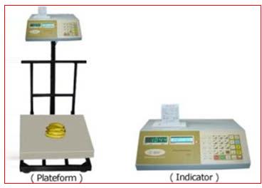 Platform Printer Scale