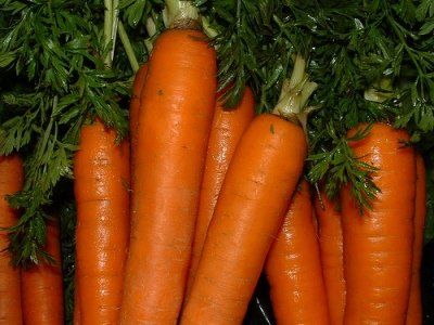 fresh carrot