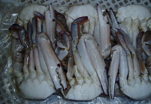 frozen crabs