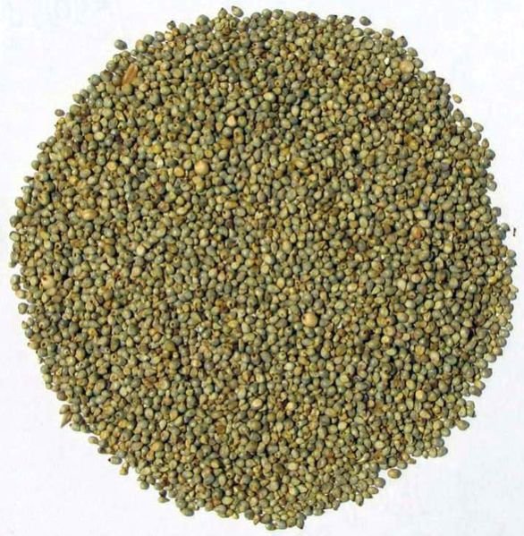 millet seeds
