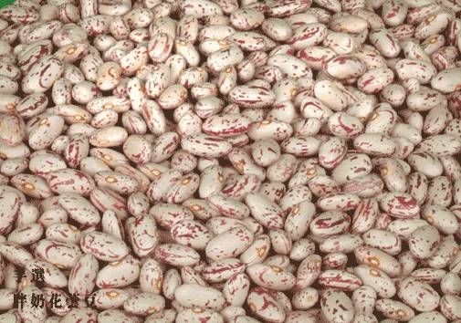 Speckled Kidney Beans