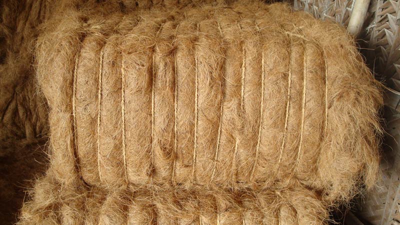 coir fiber