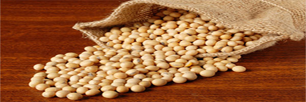 Soybeans