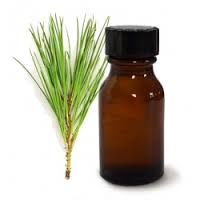 pine oil