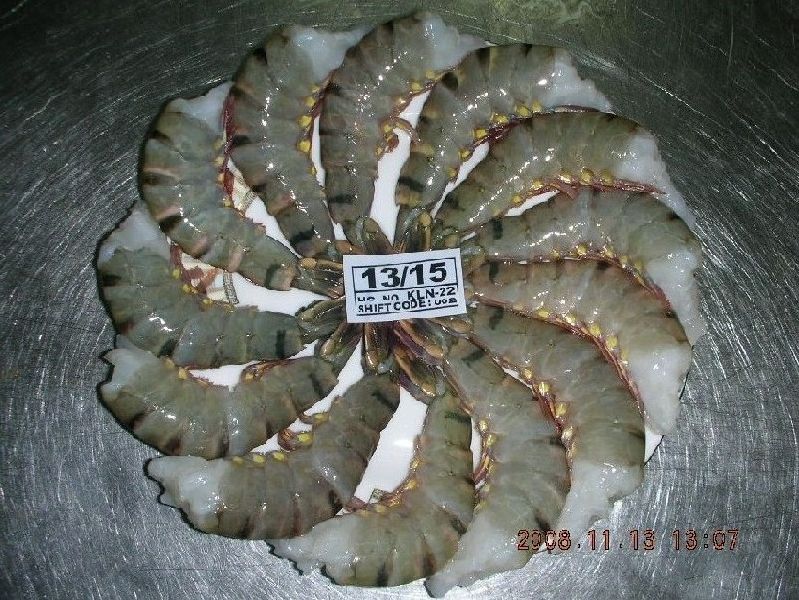 Frozen Hlso Black Tiger Shrimps