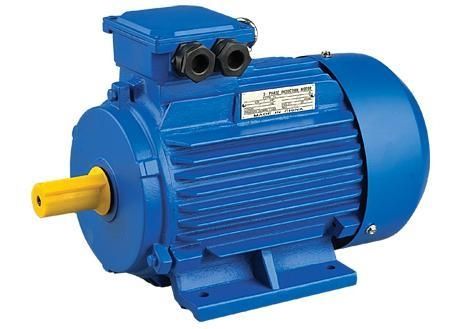 Electrical Motors