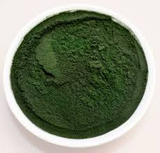 spirulina powder