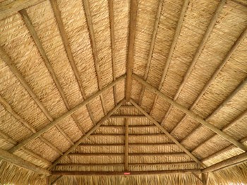 bamboo ceiling