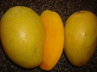 mango