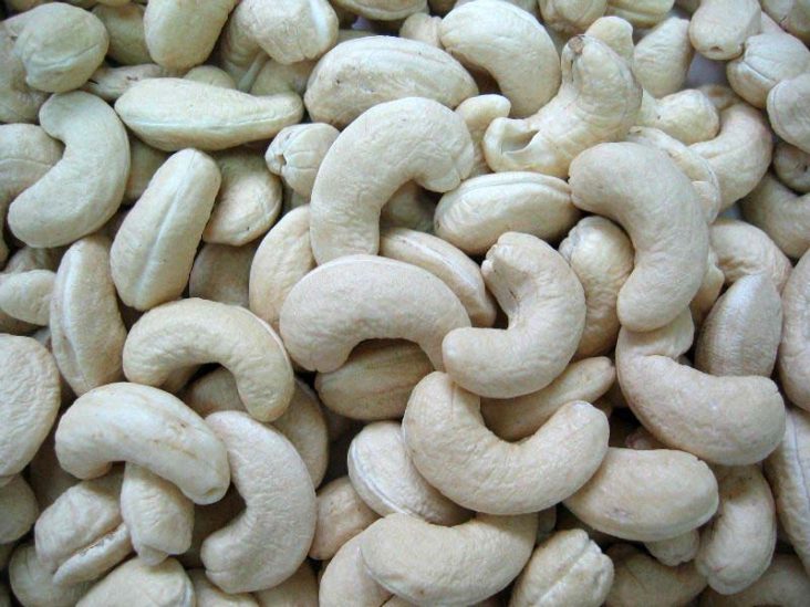 Indian Cashew Nuts