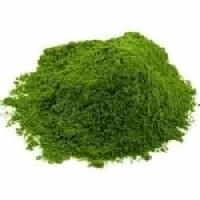 mint leaf powder