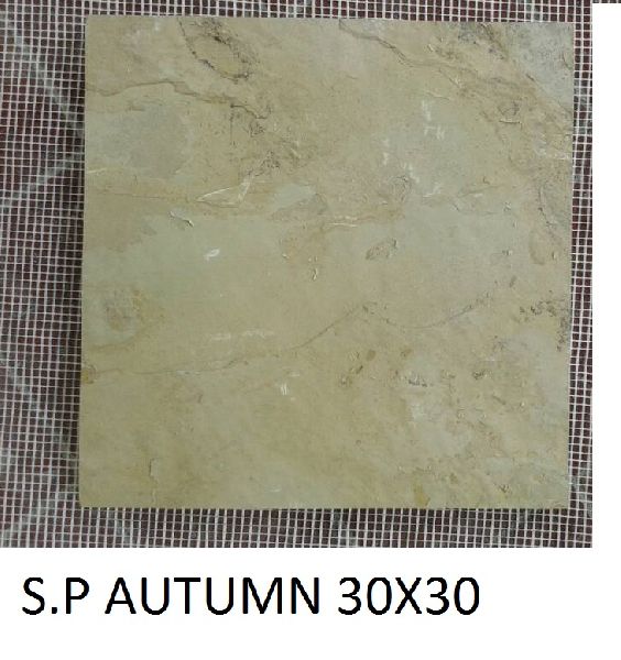 30X30 SP Autumn Slate Stone