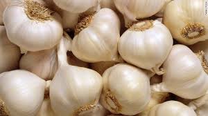 fresh garlic