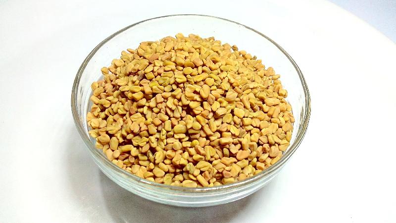Dhara Fenugreek Seeds, Packaging Type : Bulk