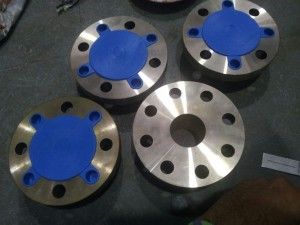 stainless steel flanges