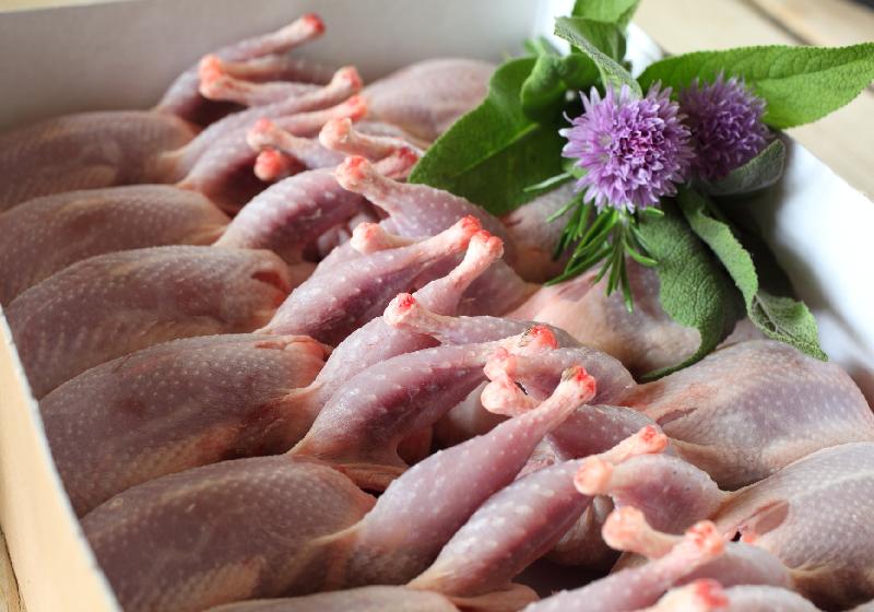 quail-meat-buy-quail-meat-for-best-price-at-inr-approx-in-east