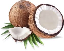 Coconut